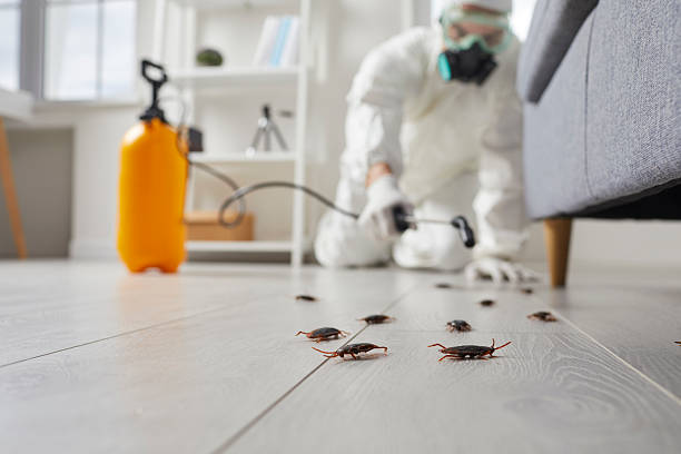 Trusted Cockroach Control service in Bratenahl, OH - Nex Pest Control